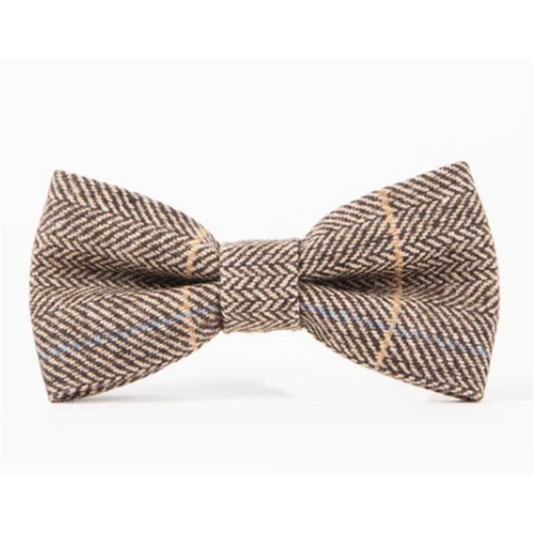 Marc Darcy Bow Tie - Ted Tan